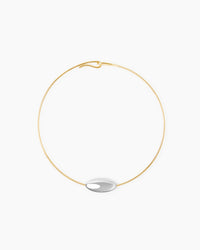 The Scarlet Necklace